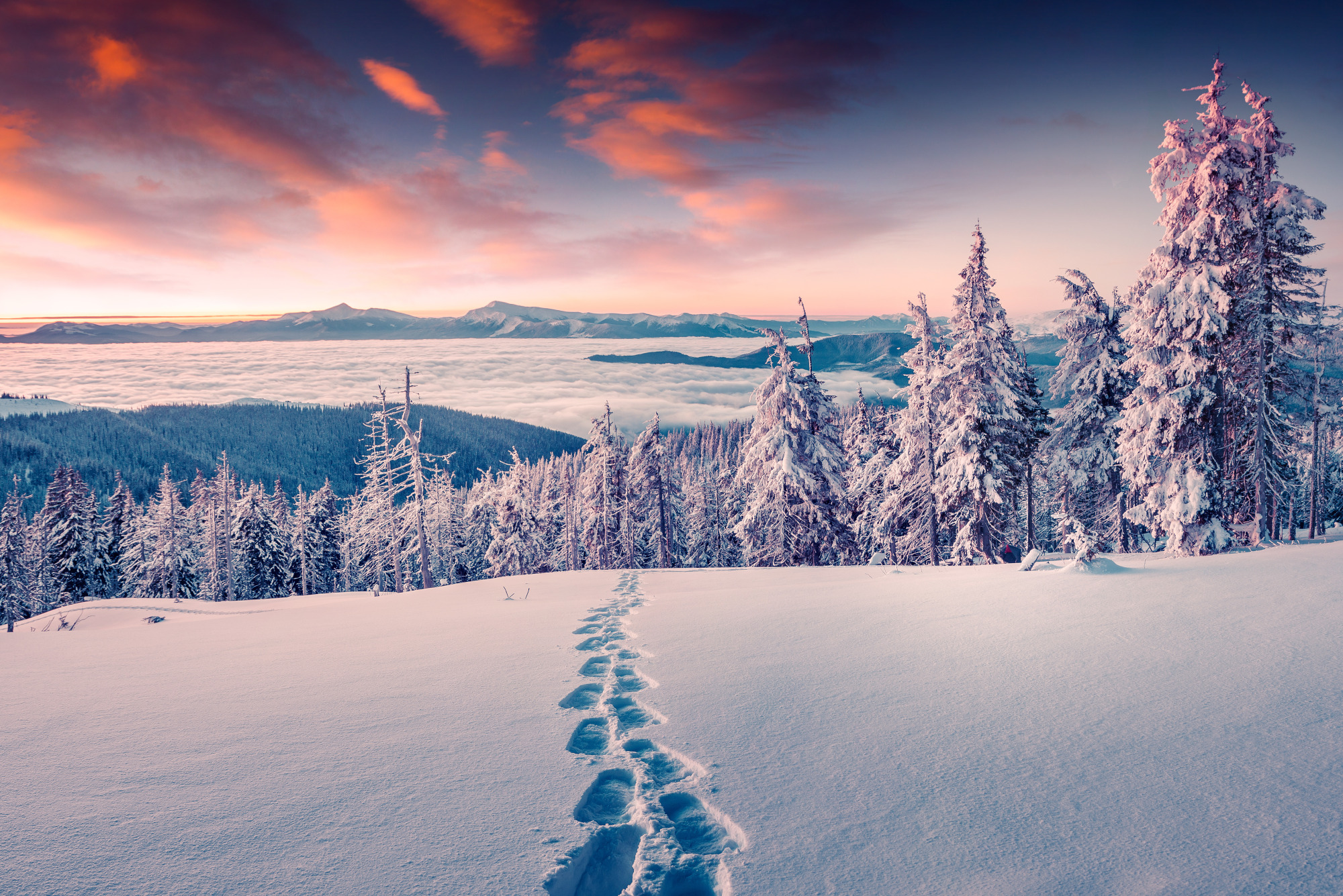 Photomural Winter In The Mountains