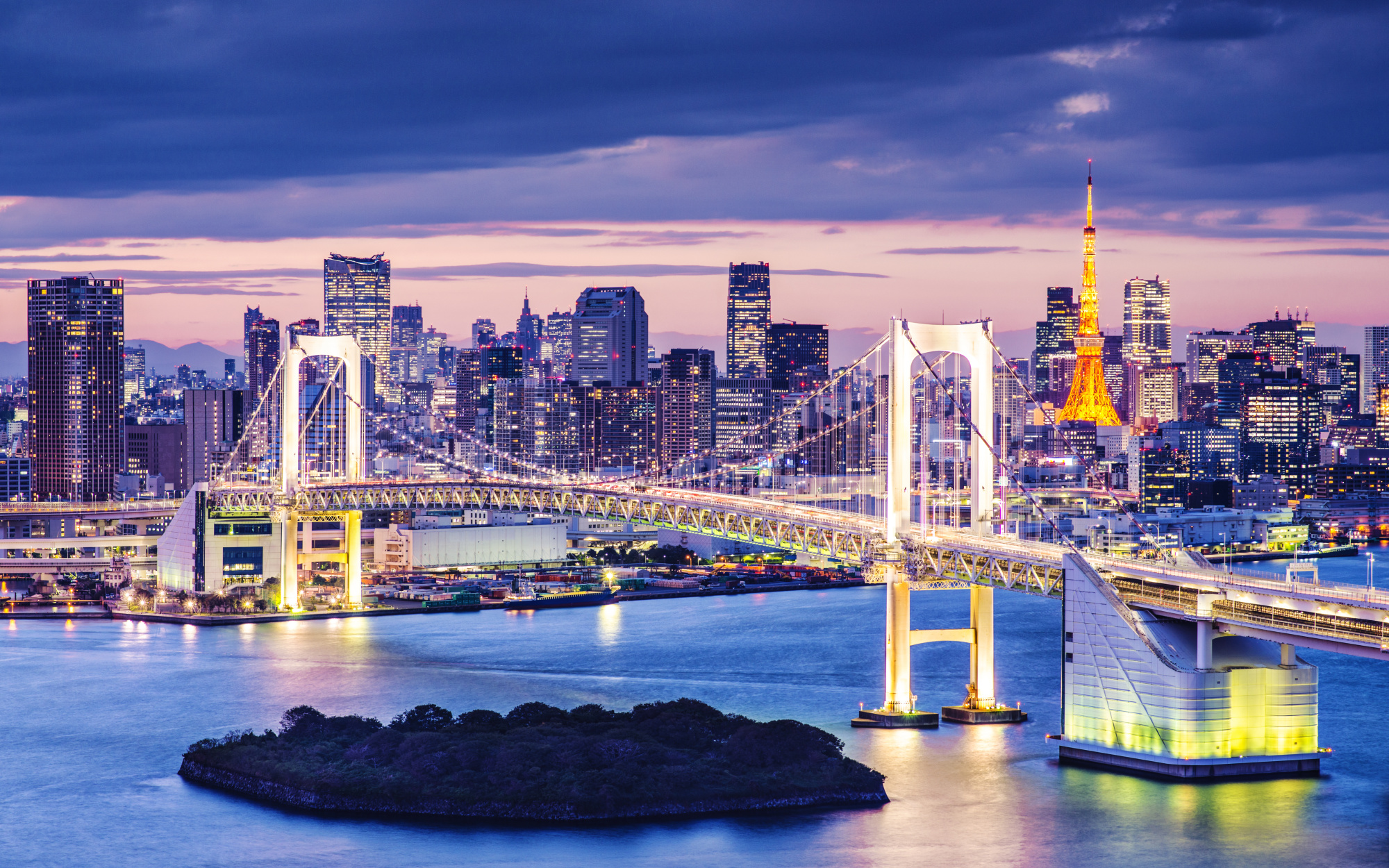 Photomural Rainbow Bridge In Tokyo