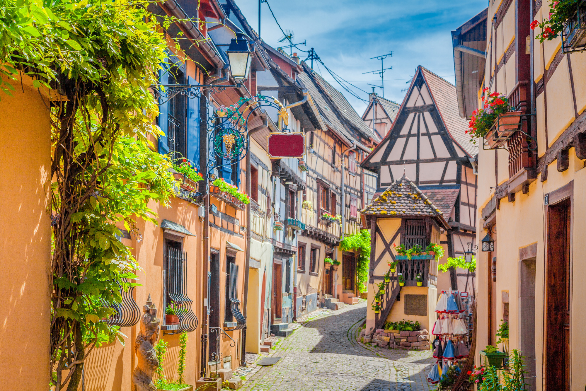 Photomural Alley Transition