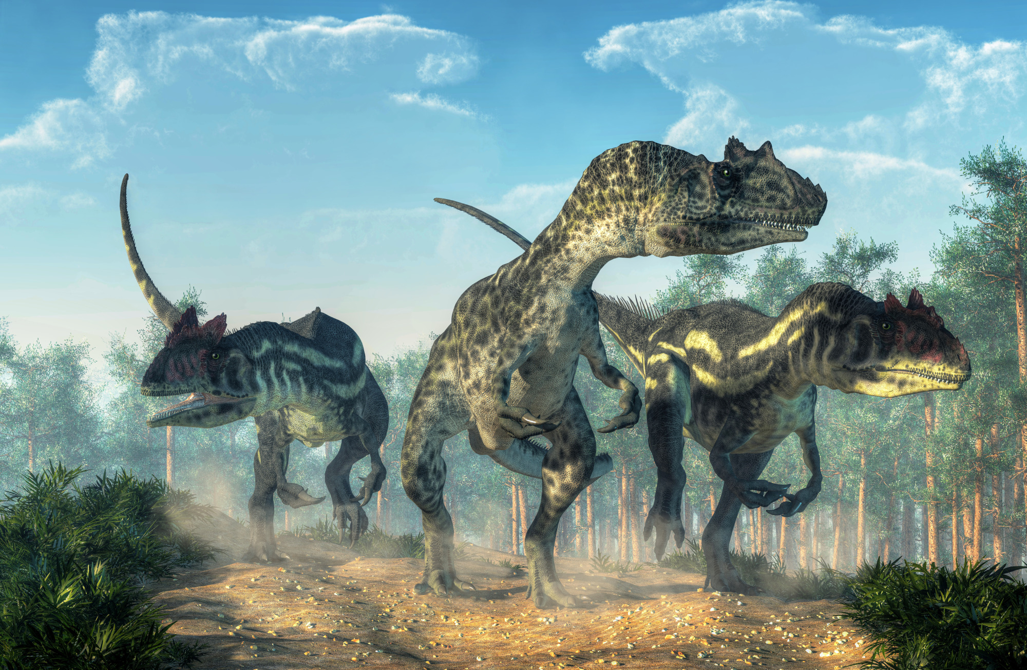 Photomural Three Dinosaurs In The Forest