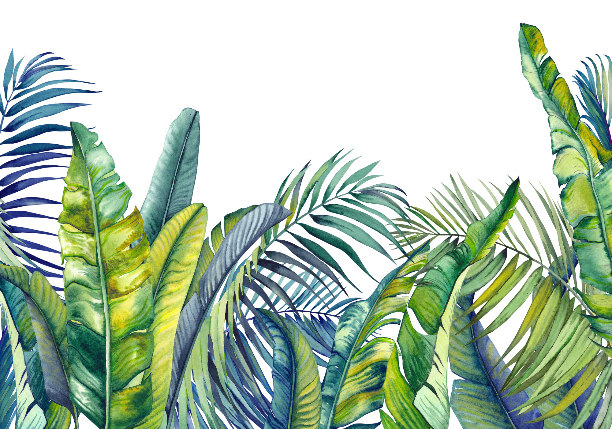 Photomural Green And Blue Tropical Plants