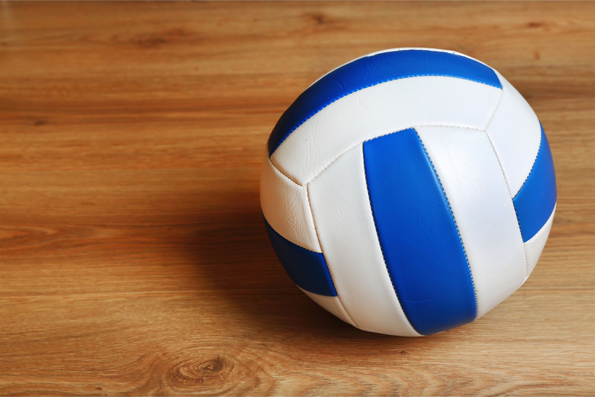 Photomural Volleyball