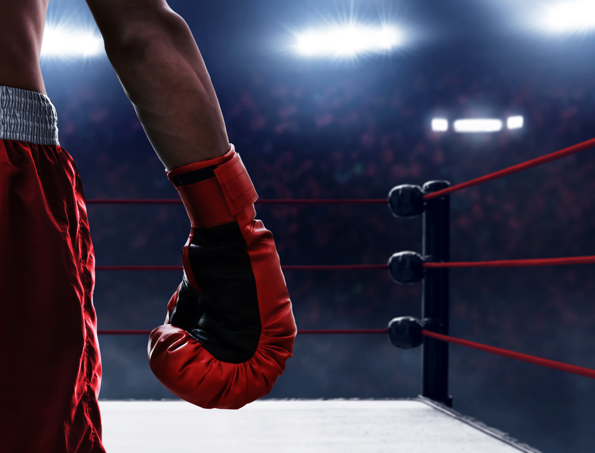 Photomural Boxer In The Ring