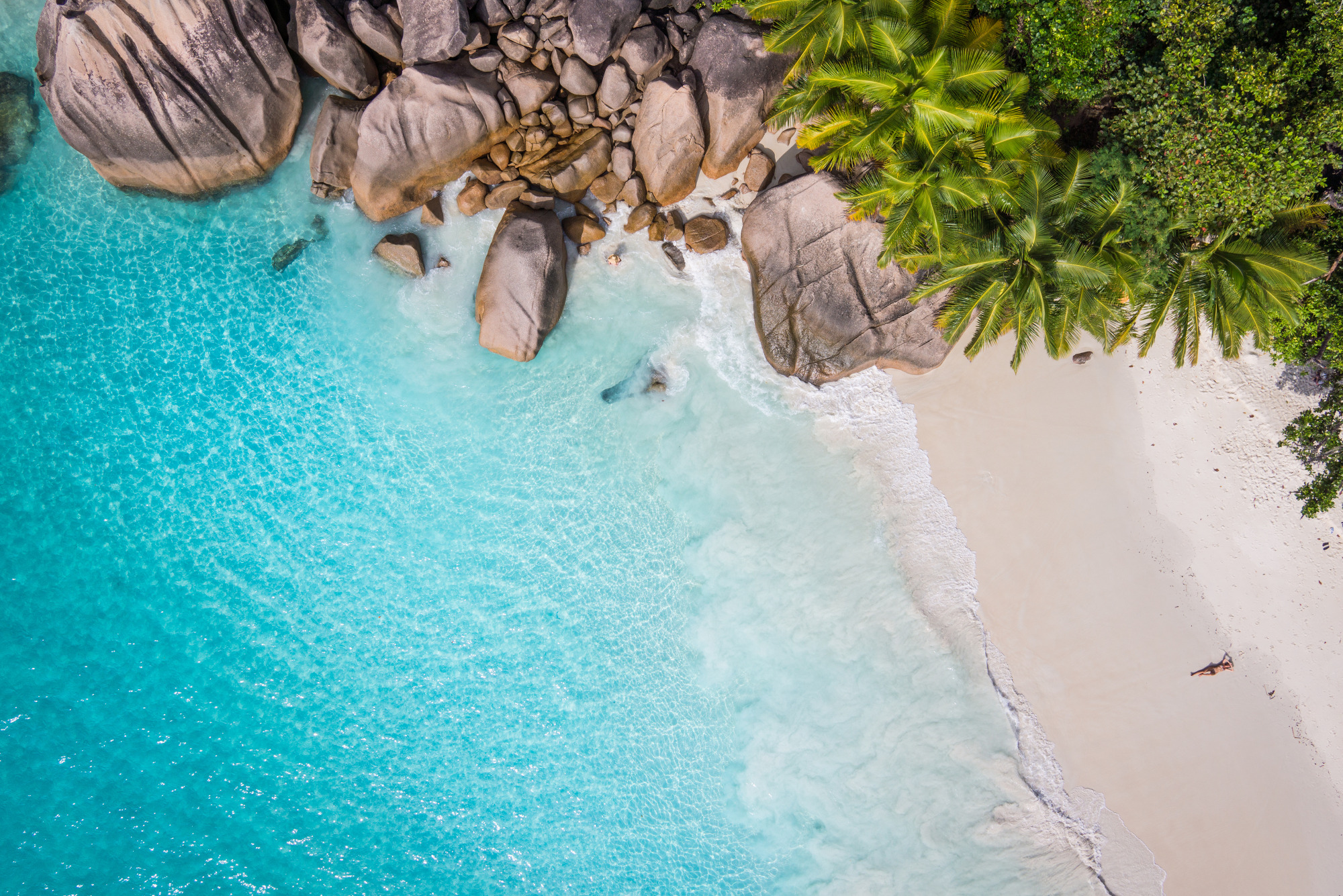 Photomural Beach Ocean Palm Trees