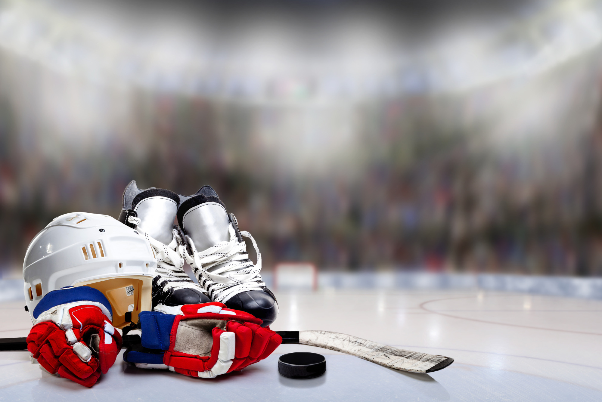 Photomural Hockey Player Set