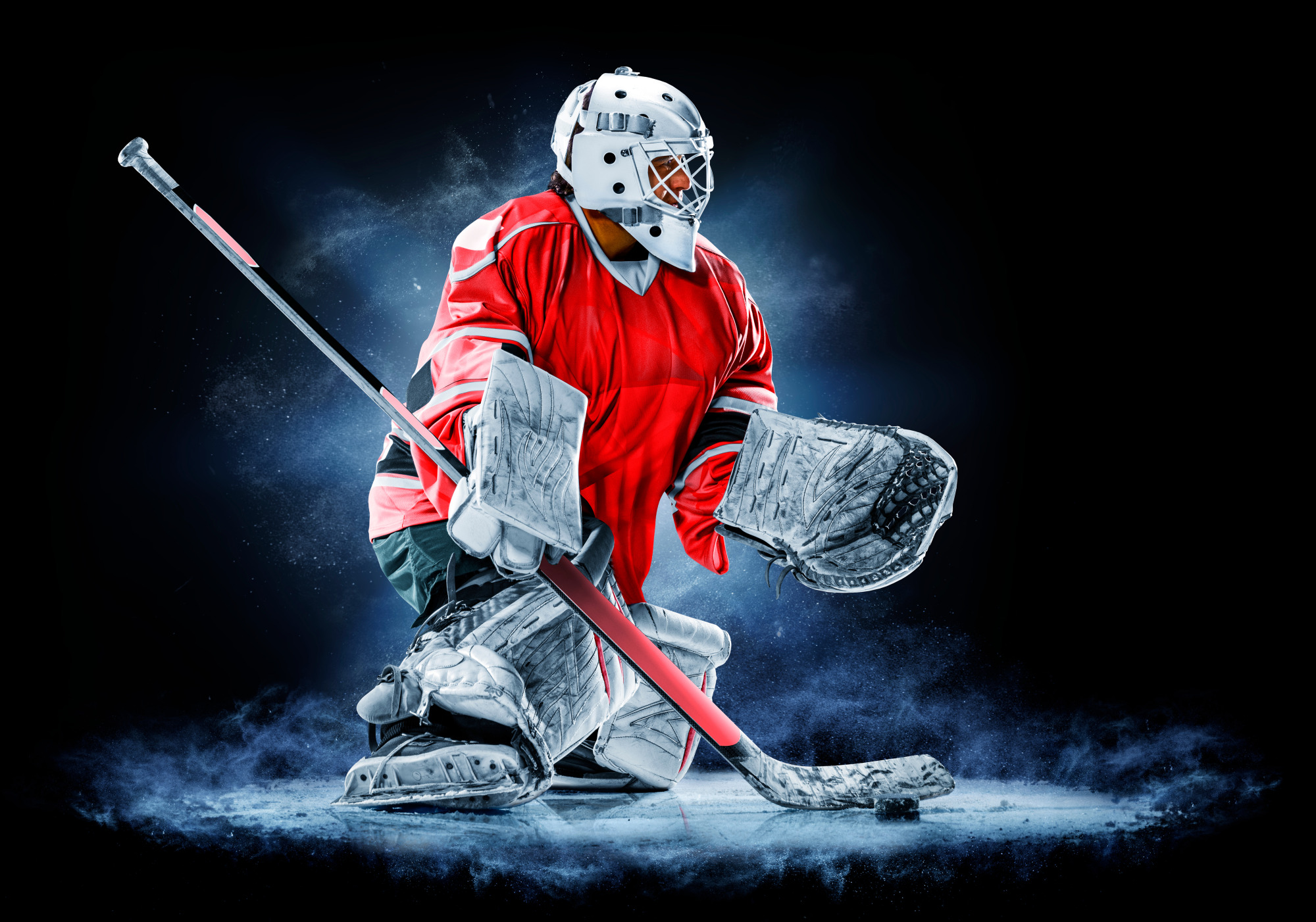 Photomural Hockey Goalkeeper