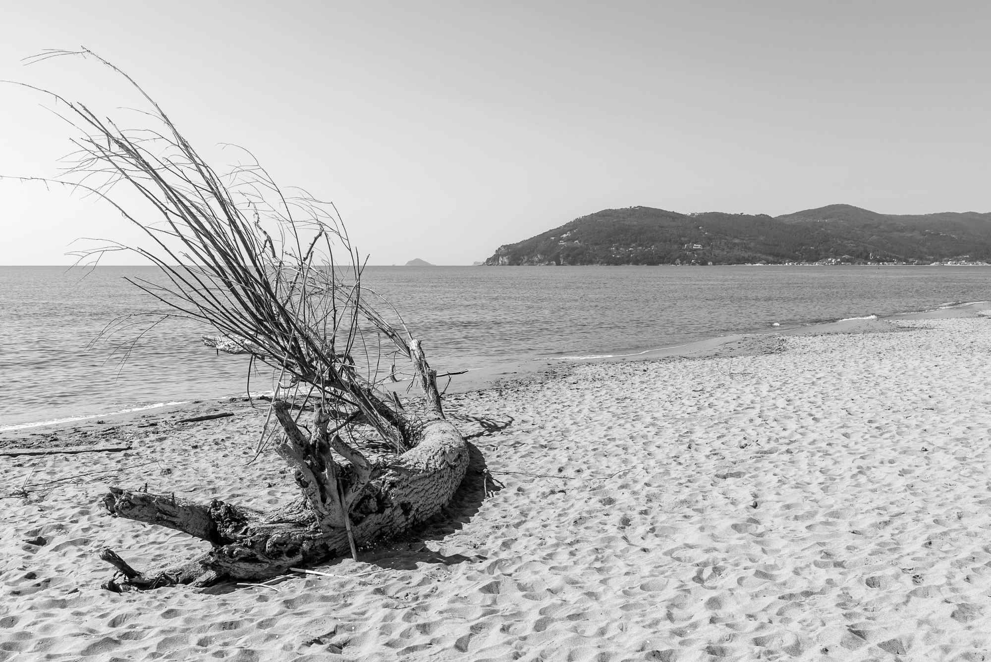 Photomural Beach Sand