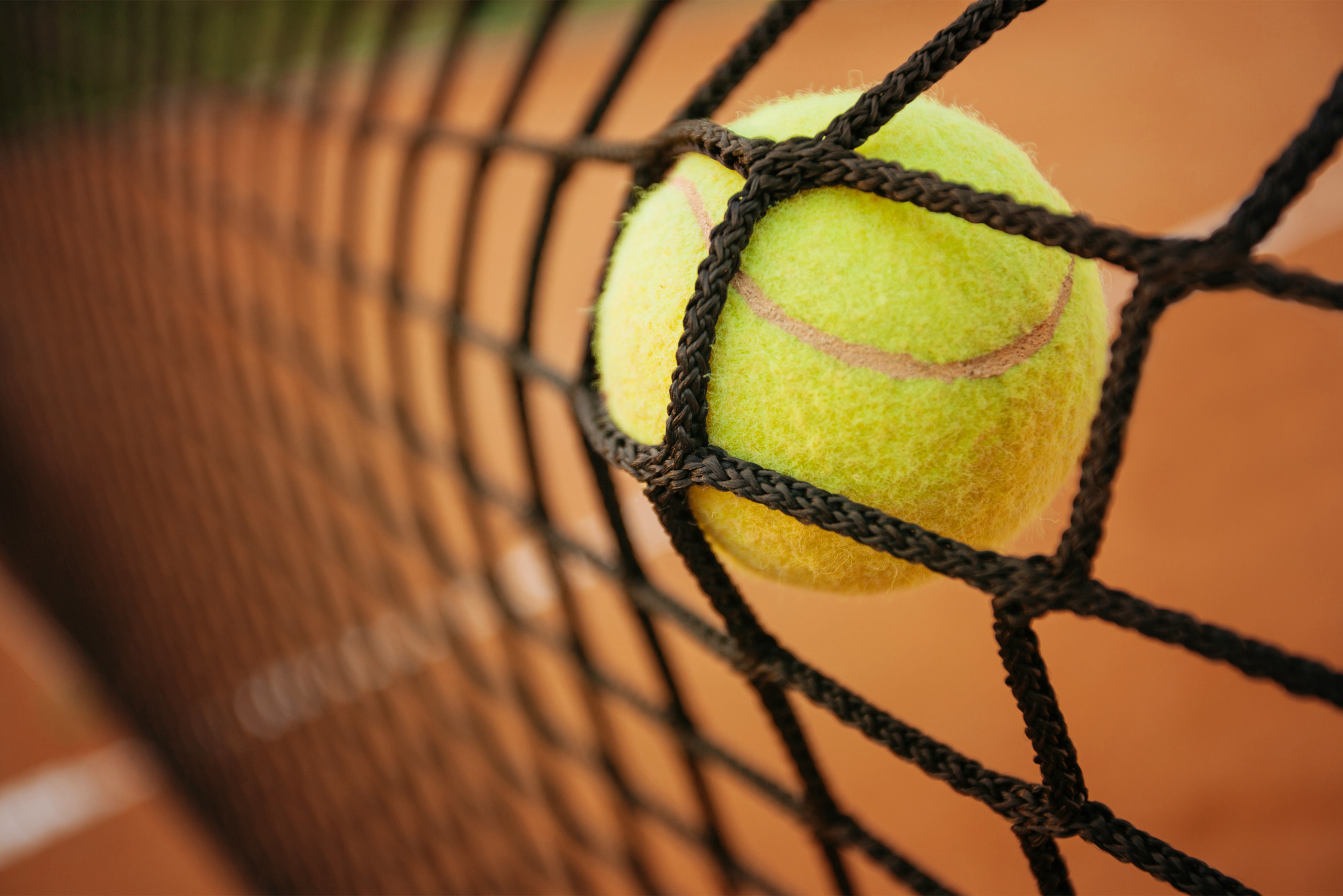 Photomural Tennis Ball In The Net
