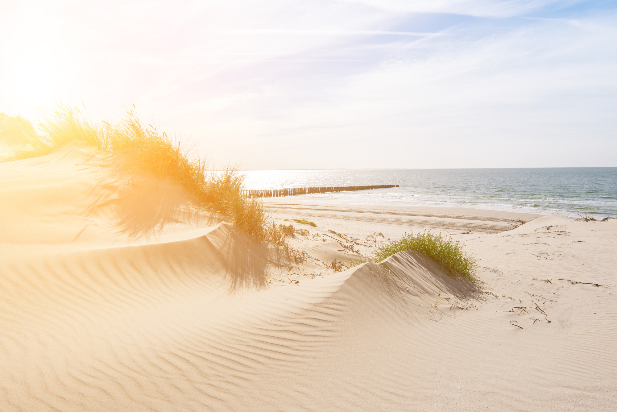 Photomural Beach Sea Dunes