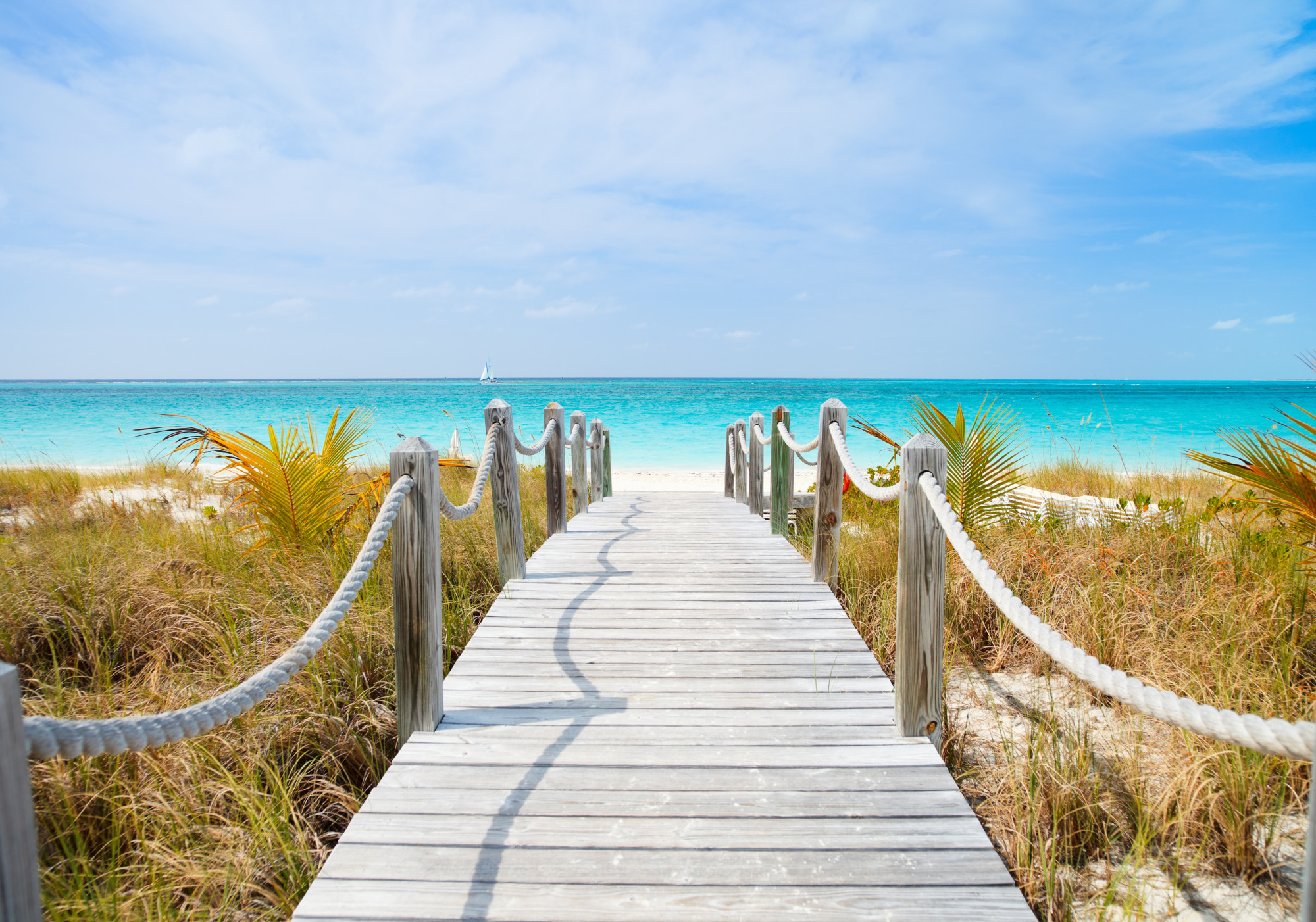 Photomural Path On A Caribbean Beach