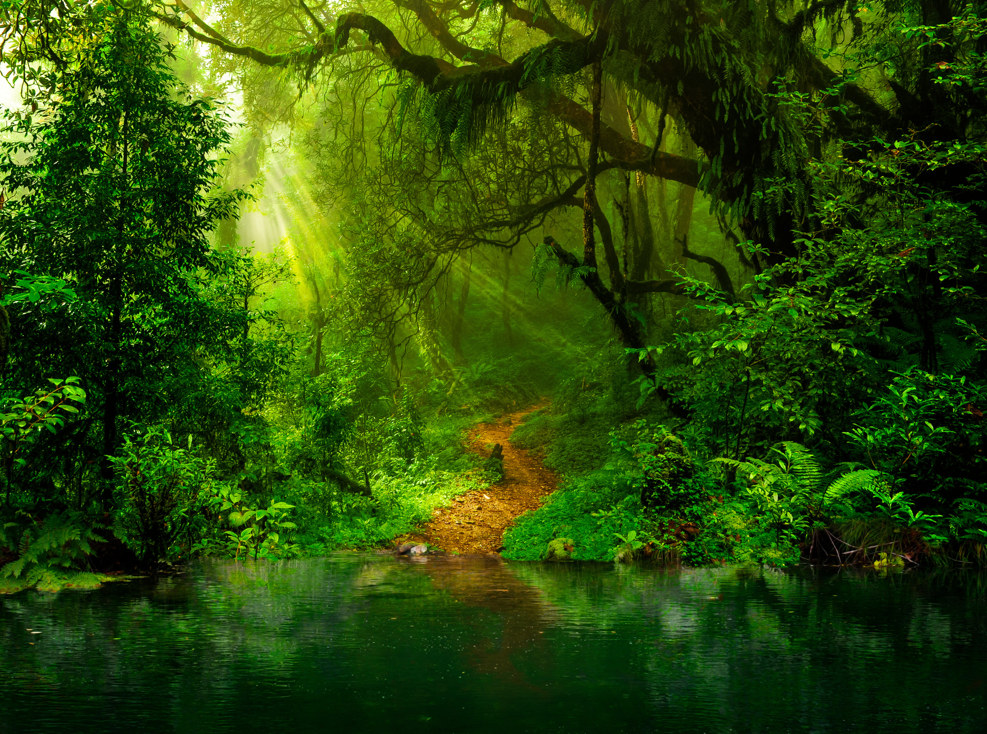 Photomural Las