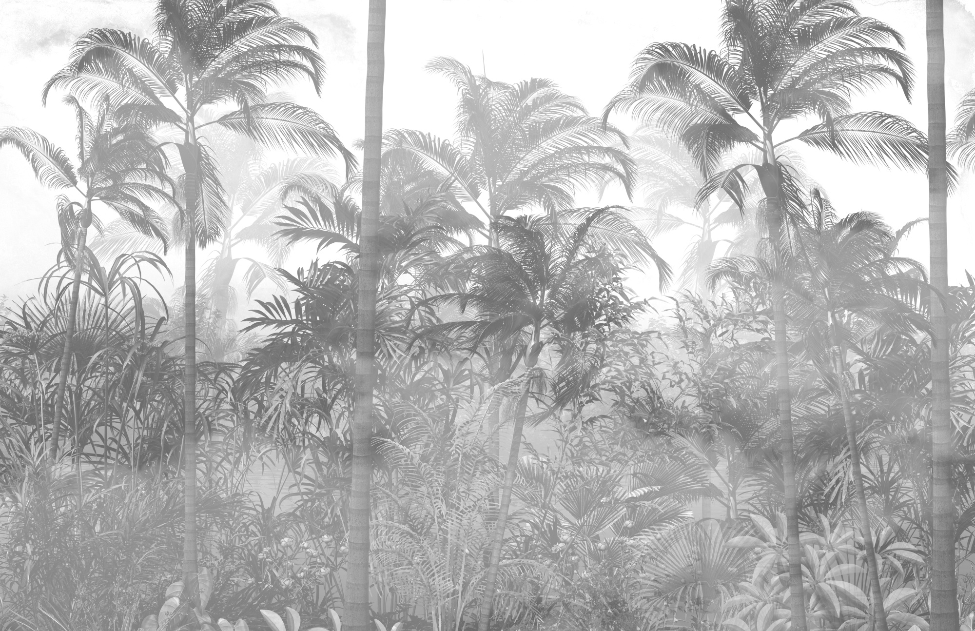 Photomural Tropical Trees And Leaves In Foggy Forest Wallpaper Design - 3D