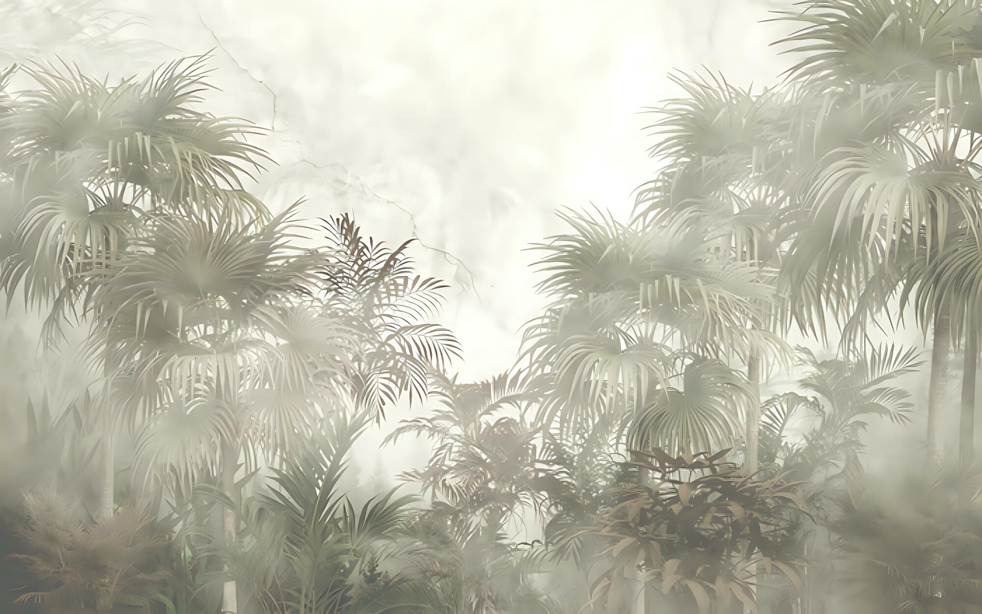 Photomural Tropical Trees And Leaves In Foggy Forest Wallpaper Design - 3D