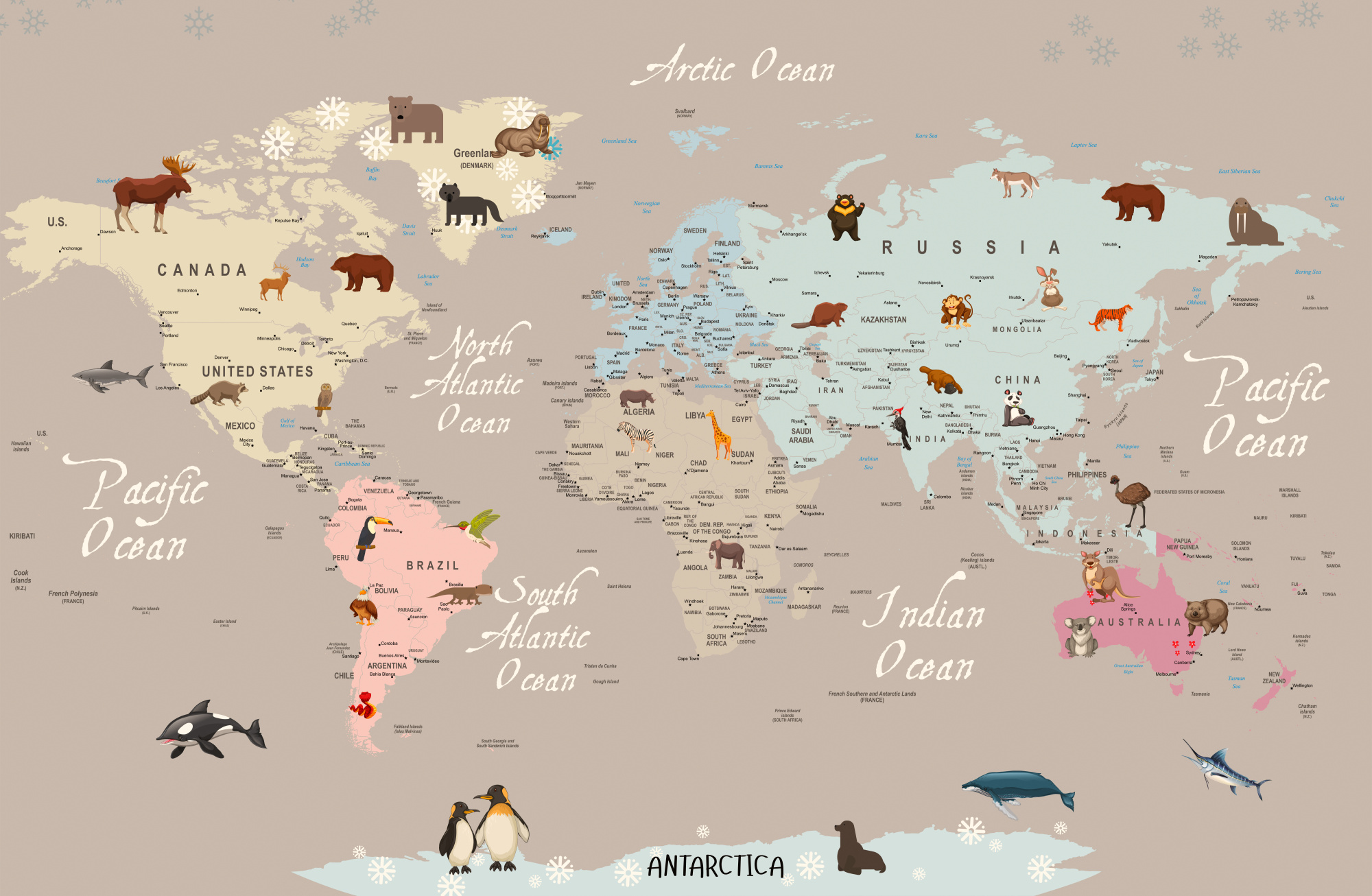 Photomural Animals World Map For Kids Wallpaper Design