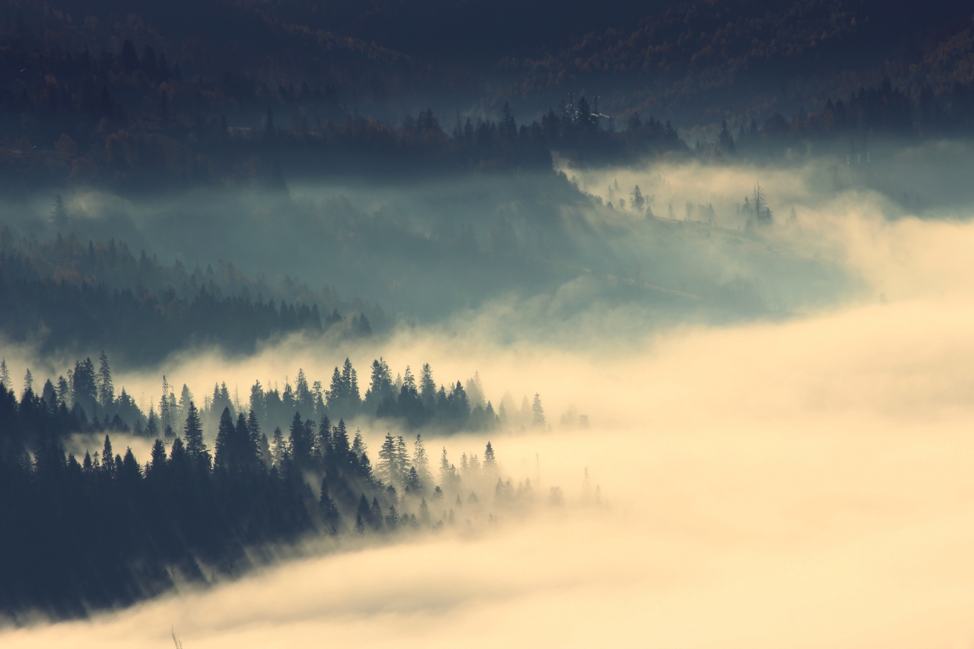 Photomural Amazing Autumn Sunrise Image In Mountains, Autumn Morning Dawn, Nature Colorful Background, Carpathians Mountains, Ukraine, Europe