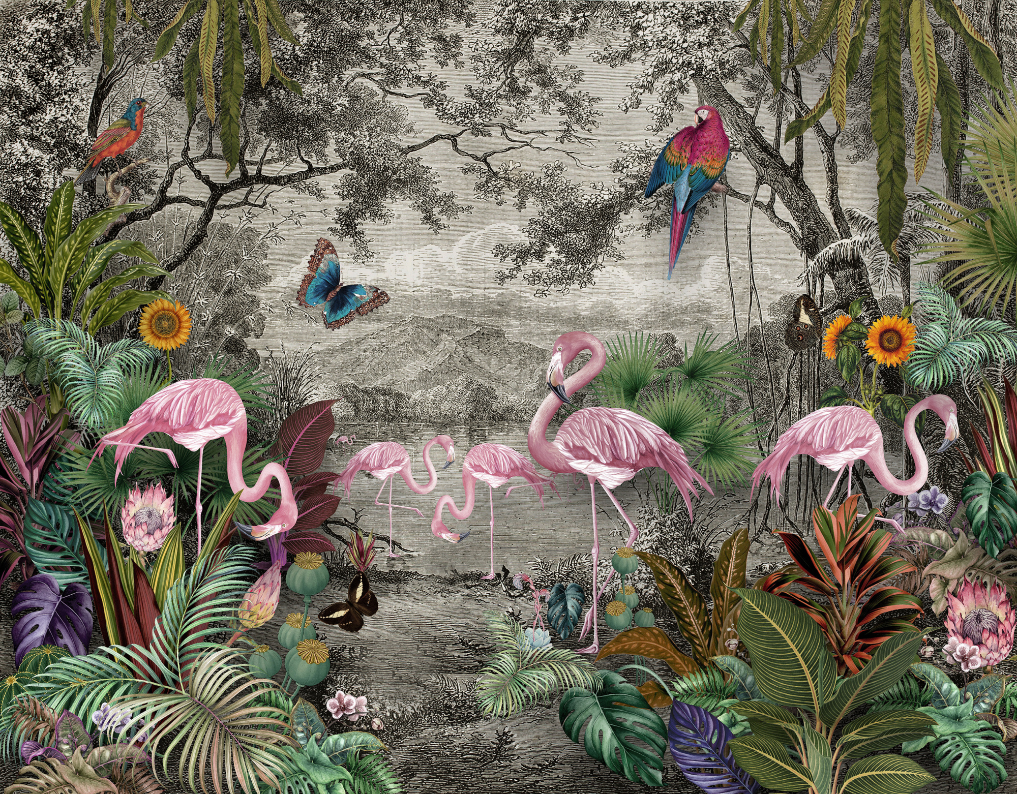 Photomural Wallpaper Jungle And Tropical Forest Banana Palm And Tropical Birds, Old Drawing