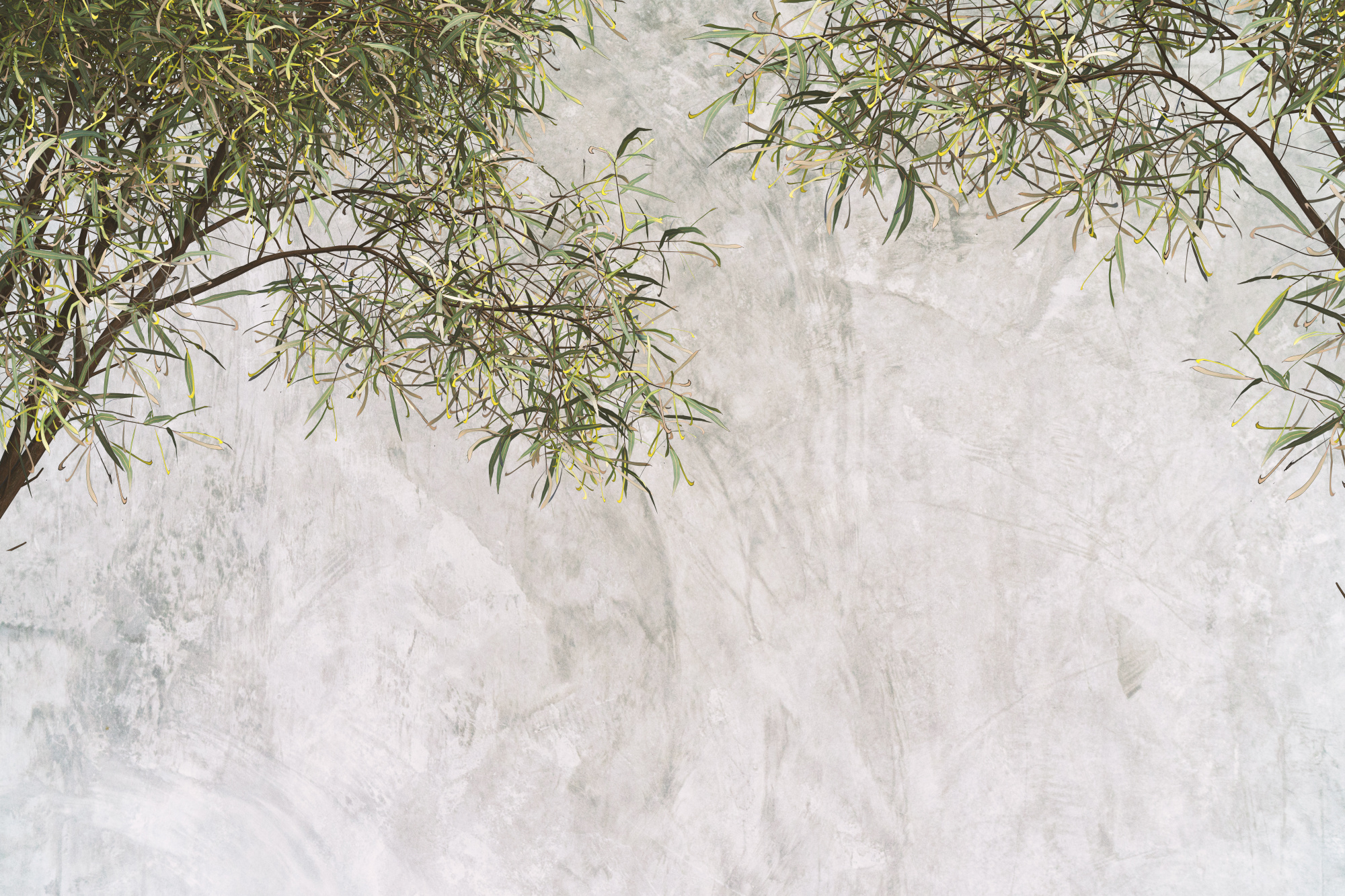 Photomural Tropical Trees And Leaves For Digital Printing Wallpaper, Custom Design Wallpaper - 3D