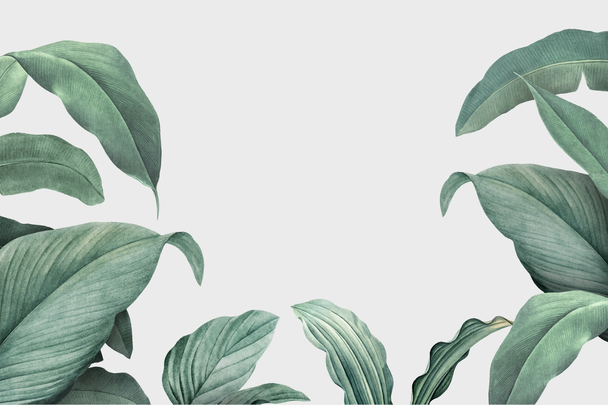 Photomural Tropical Leaves Frame