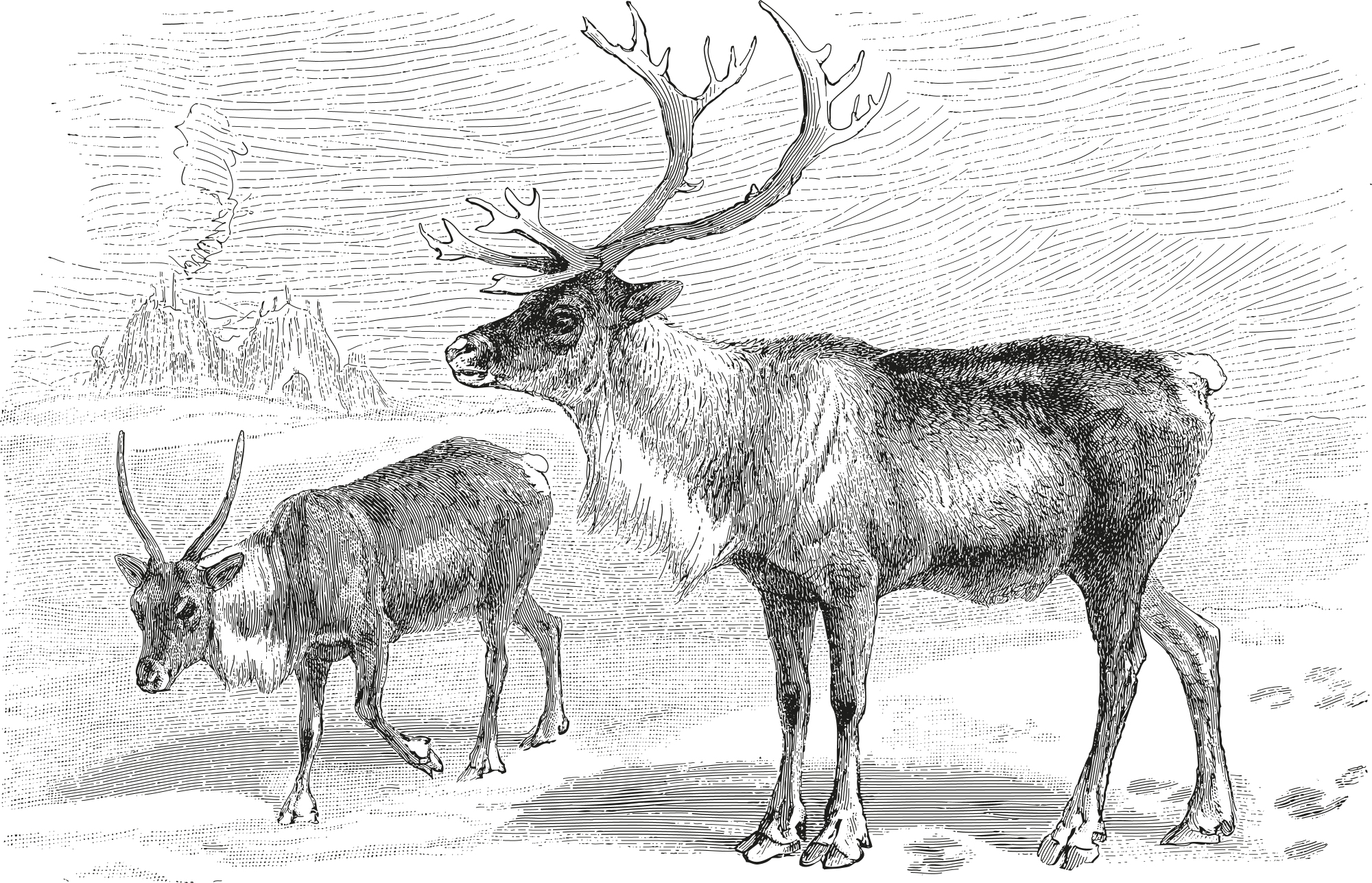 Photomural Stag Vintage