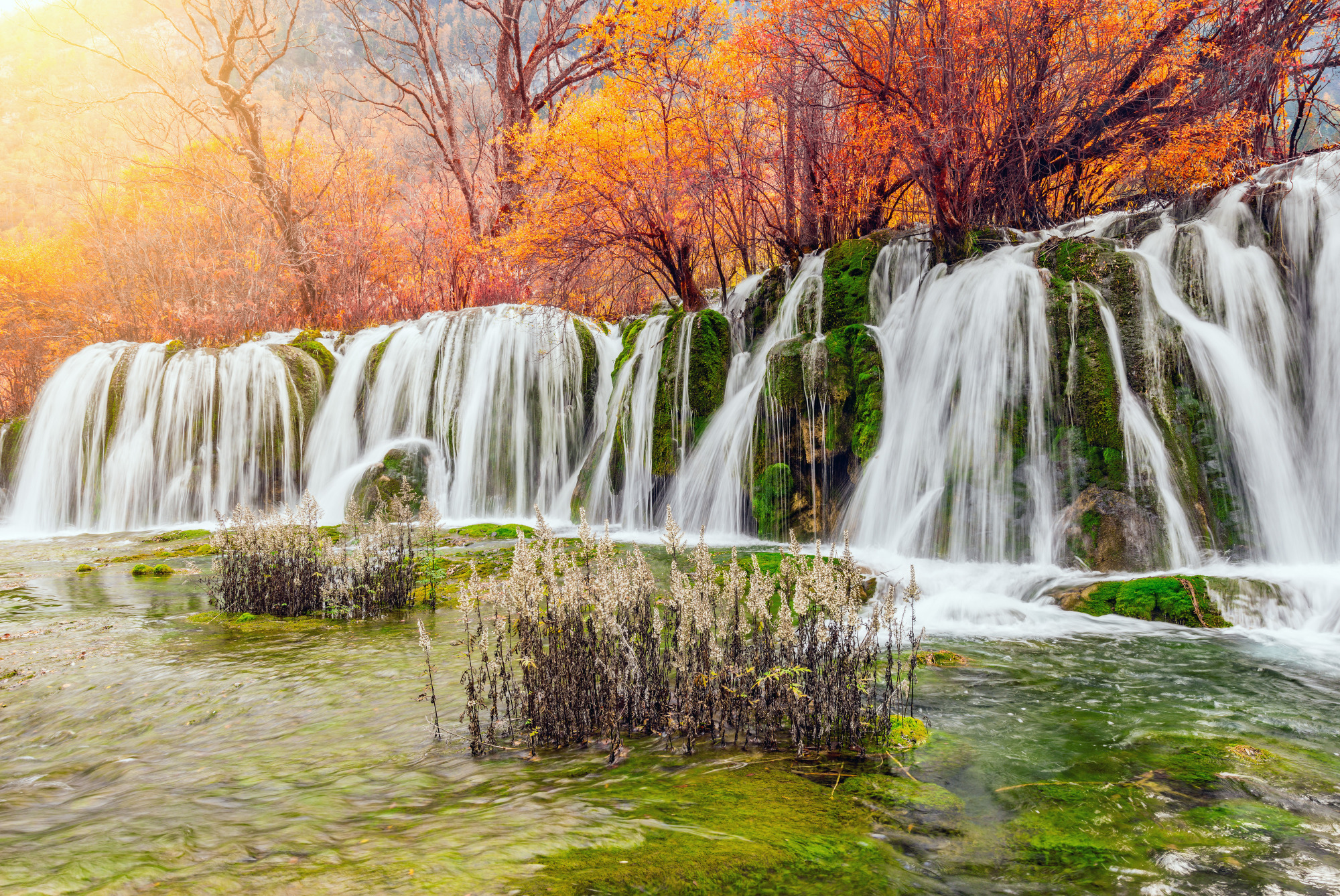 Photomural Autumn Waterfall